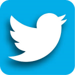 Twitter Botton WEB PAGE